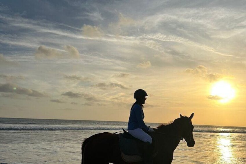 1 hour Bali Horse Riding saba beach Luxury experiance