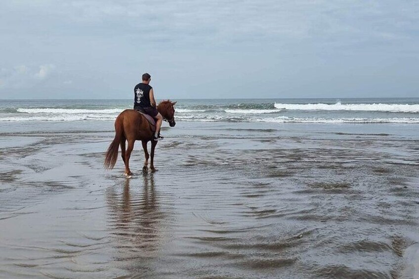 1 hour Bali Horse Riding In Seminyak beach 