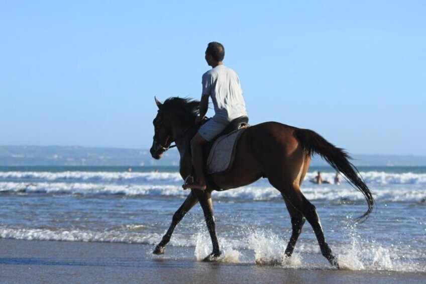 1 hour Bali Horse Riding saba beach Luxury experiance