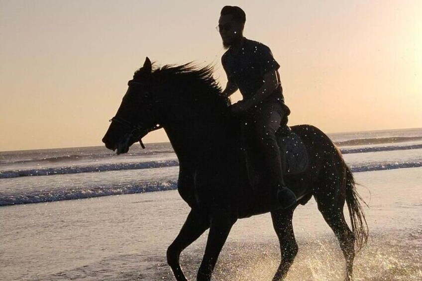 1 hour Bali Horse Riding In Seminyak beach Luxury experiance