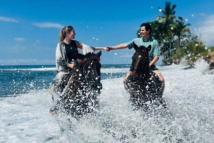 1 hour Bali Horse Riding saba beach