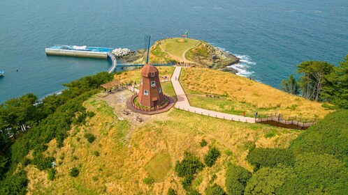 Desde Busan: Encantadora excursión de un día a la isla de Oedo con Windy Hi...