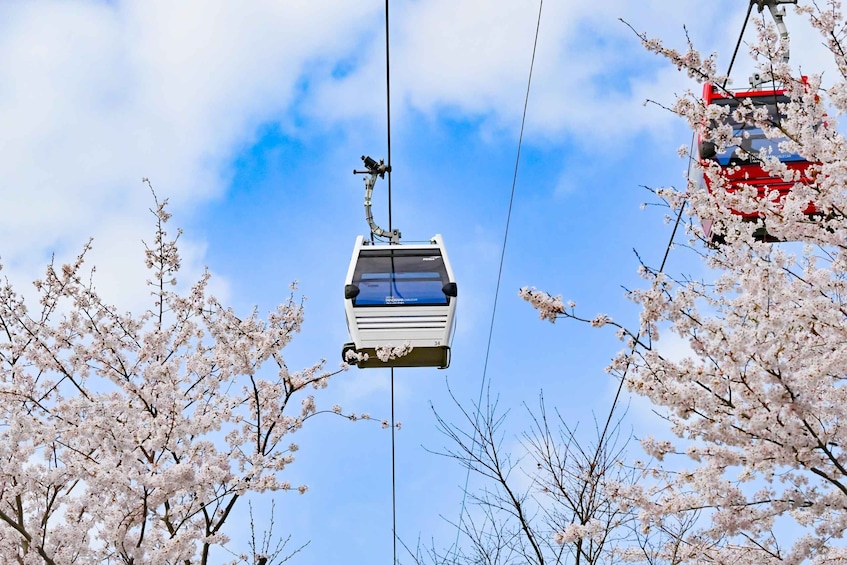 Picture 15 for Activity From Busan: Enchanting Oedo Botania Day Tour with Wind Hill