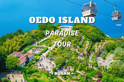Desde Busan: Encantadora excursión de un día a la isla de Oedo con Windy Hi...