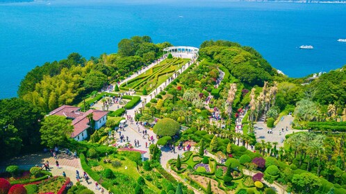 Desde Busan: Encantadora excursión de un día a la isla de Oedo con Windy Hi...