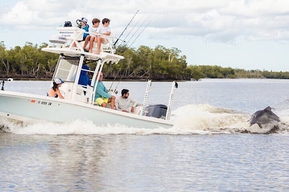 Visite privée de 2 heures avec les dauphins et l'éco-tour Marco Island, FL