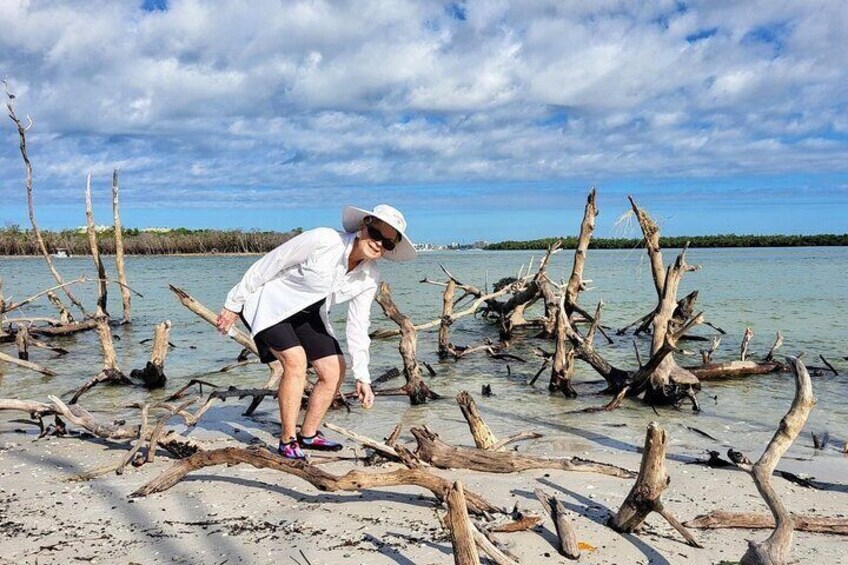  Private 4 HR Eco Tour, Shelling and Fishing, Marco Island FL