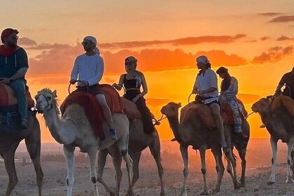 Dinner Show and Camel Ride Experience in Agafay Desert