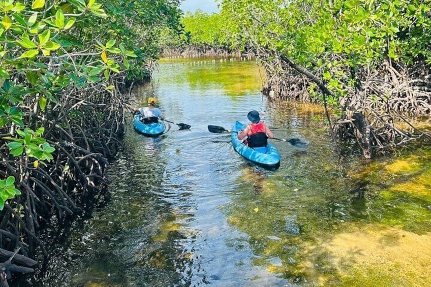 Half Day Private Kayak Tour and Kuza Cave Natural Swimming Pool