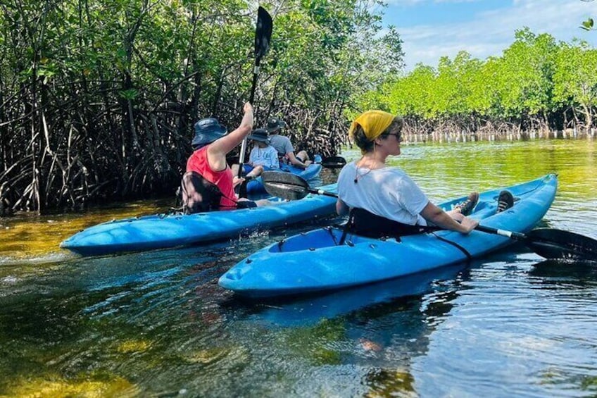 Half Day Private Kayak Tour and Kuza Cave Natural Swimming Pool