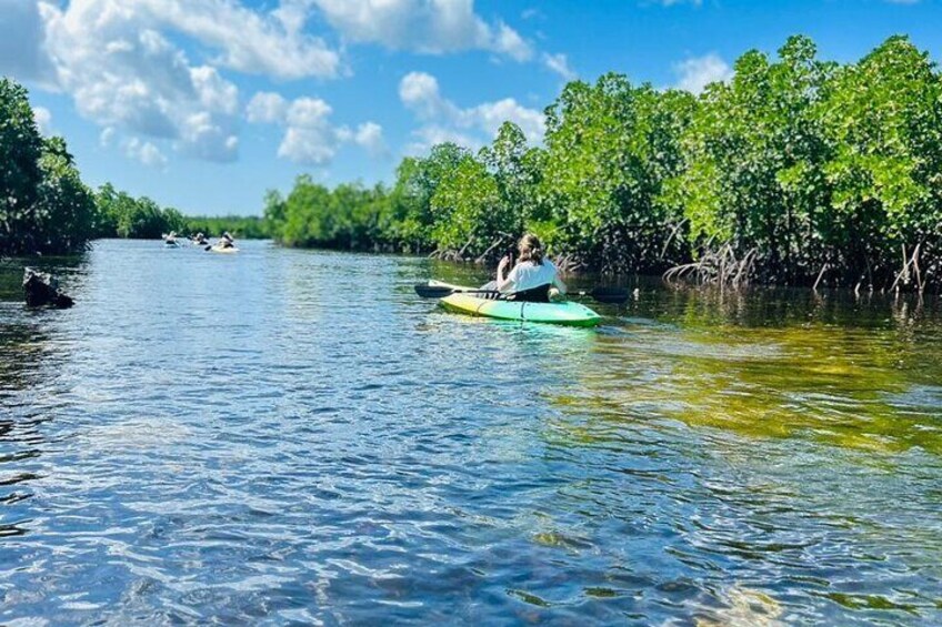 Half Day Private Kayak Tour and Kuza Cave Natural Swimming Pool