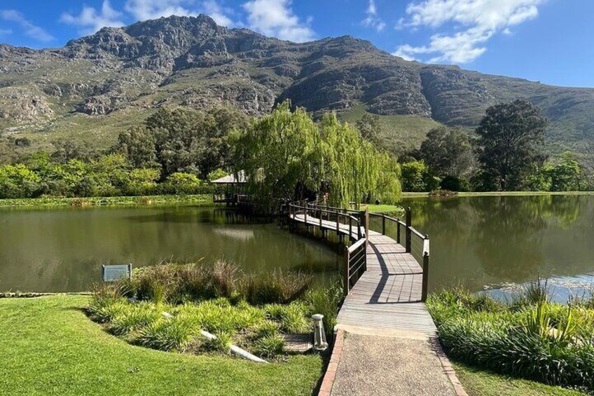 Private Full day Wine Tasting Tour in Cape Winelands