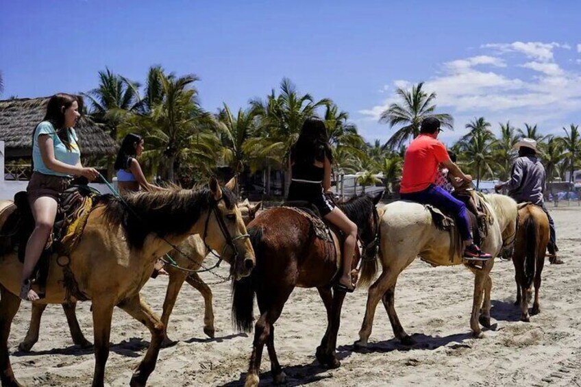 Beach Day Tour with Horseback Ride Water Sports and City Tour