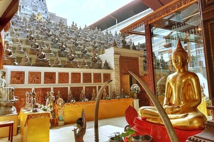 Private Port Shore Excursions Panoramic Colombo City Tours