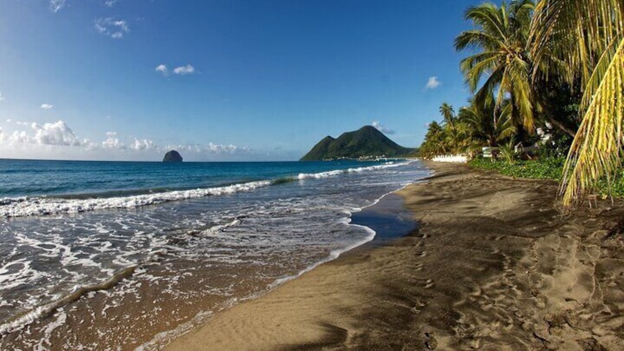 Half Day Private Custom Tour of Martinique