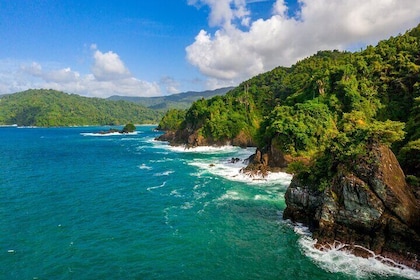 Private Tour Full Island Tobago