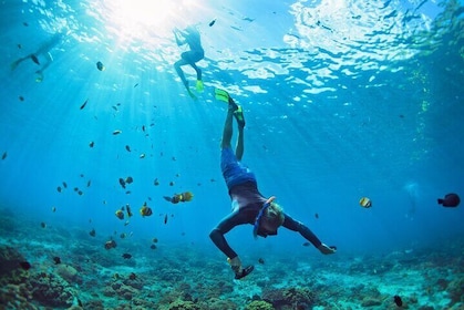 Snorkel Cruise Private Tour to Underwater Sculptures in Grenada