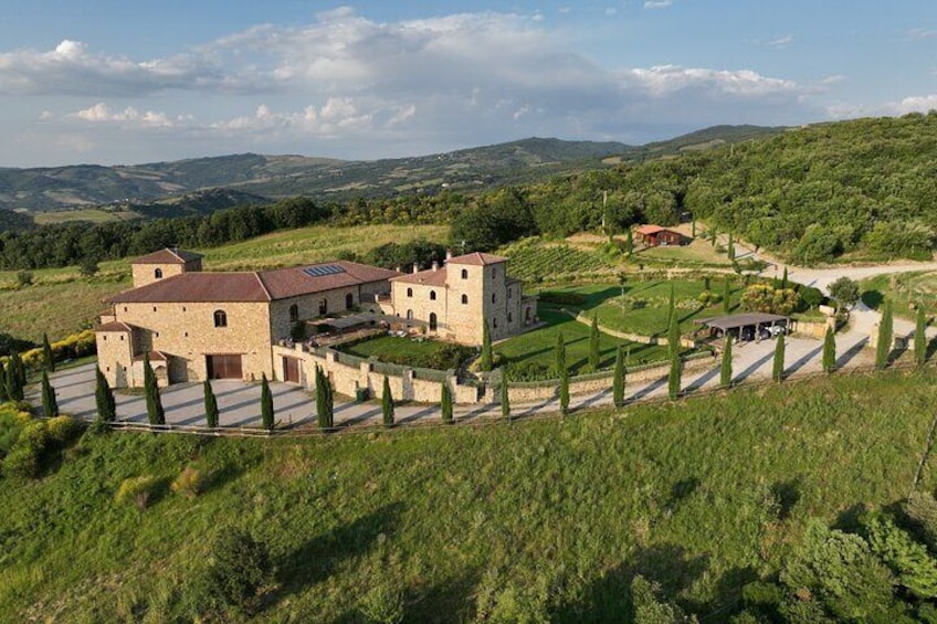 Wine Tasting in Maremma with Priority Access