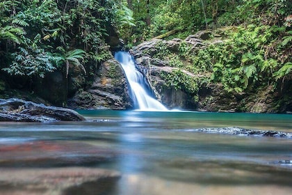 Private Tour Paria Waterfall from Port of Spain