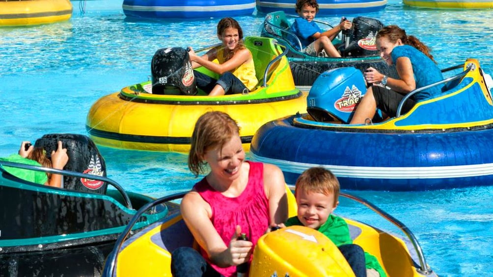 Children and adults in bumper boats