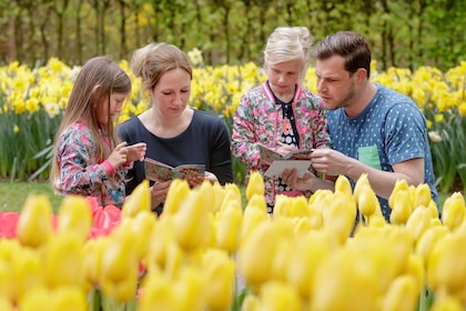 Keukenhof: Parkschein oder Parkinformationsbroschüre