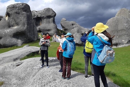 Lyttelton Shore Excursion -Inland Canterburey & Castle Hill Tour