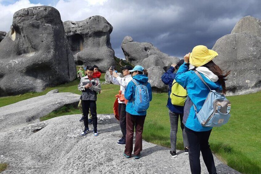 Lyttelton Shore Excursion and Castle Hill Inland Tour 