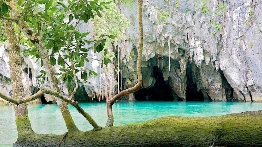 Show item 4 of 4. Breathtaking views on the Private Underground River Tour in the Philippines