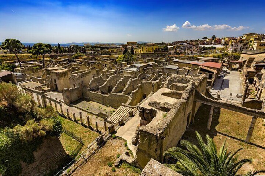 Vesuvius and Herculaneum Tour from Naples