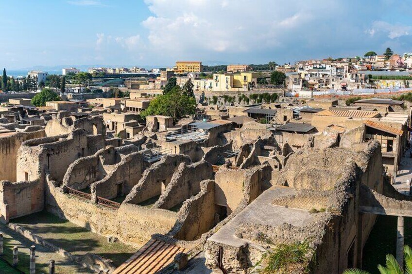 Vesuvius and Herculaneum Tour from Naples