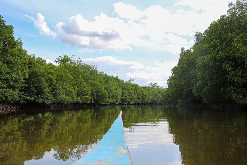 Private Tour Magic Mangrove Paddle in Beef Island Lagoon