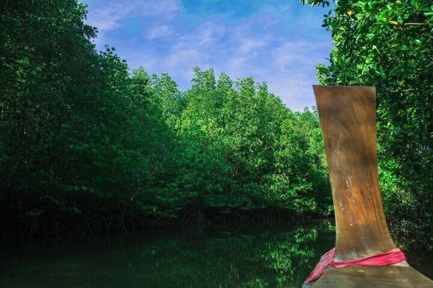 Private Tour Magic Mangrove Paddle in Beef Island Lagoon