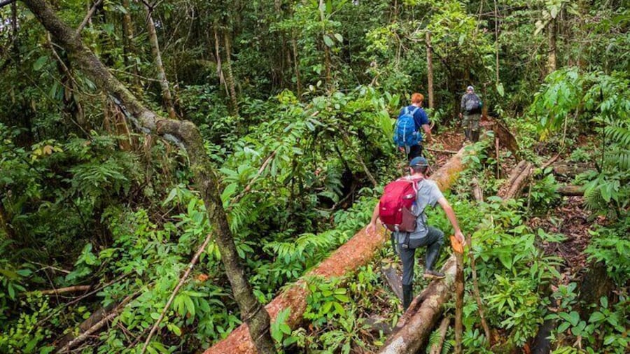 4 Days Deep Jungle Experience