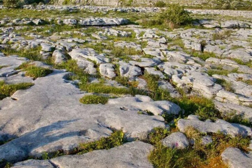 Chauffeur day trip, Dublin to The Cliffs of Moher/Burren/Galway