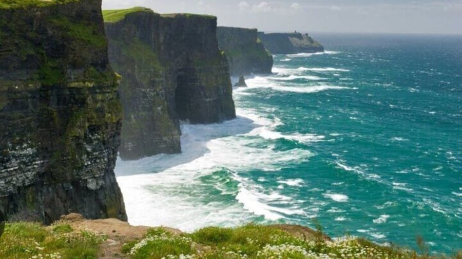 Full Day Private Guided Cliffs of Moher Tour