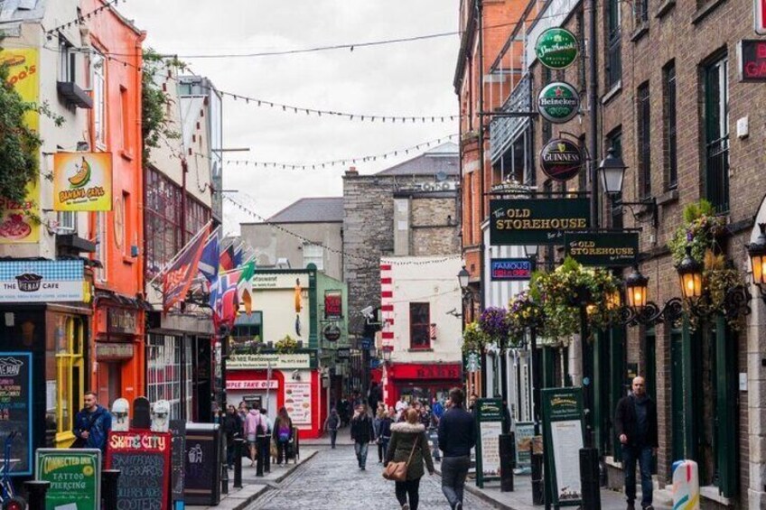 Private executive Half Day Tour around Dublin City 