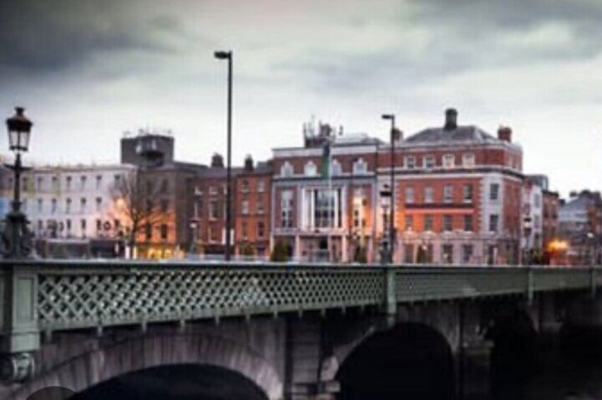 Private executive Half Day Tour around Dublin City 