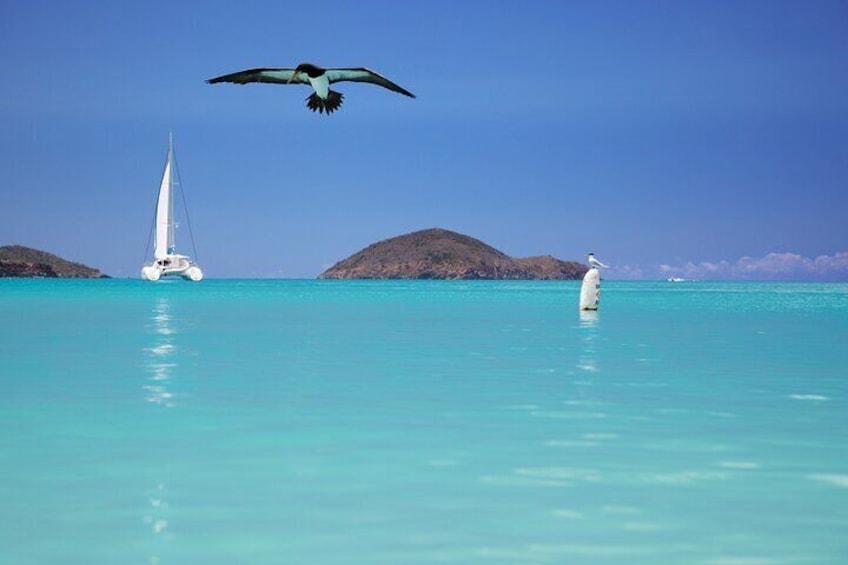 Private Tour Sail in Virgin Islands National Park