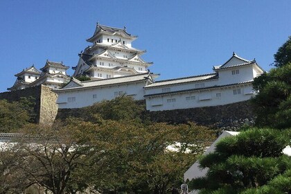 Visita guiada privada de día completo a Himeji y Kobe