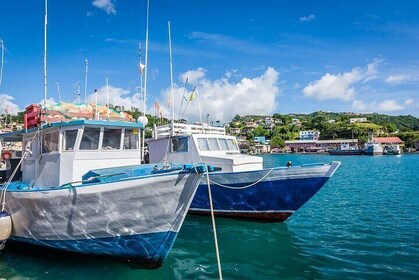 Cruise on a Classic Schooner Private Tour in Grenada