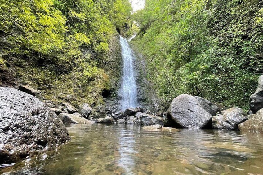 Waterfall Hike in Hawaii