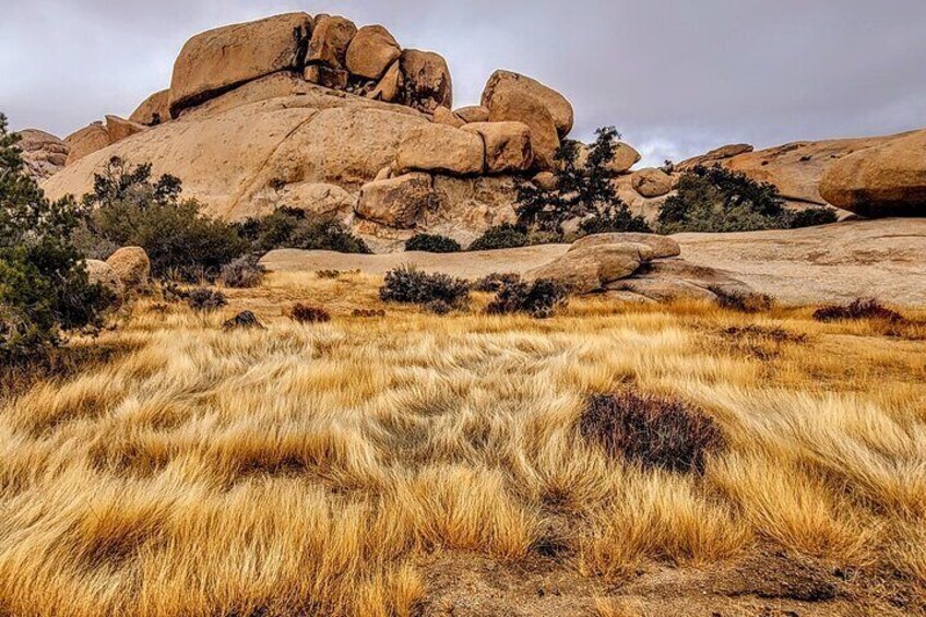 Rocks that are tens to hundreds of millions years old.