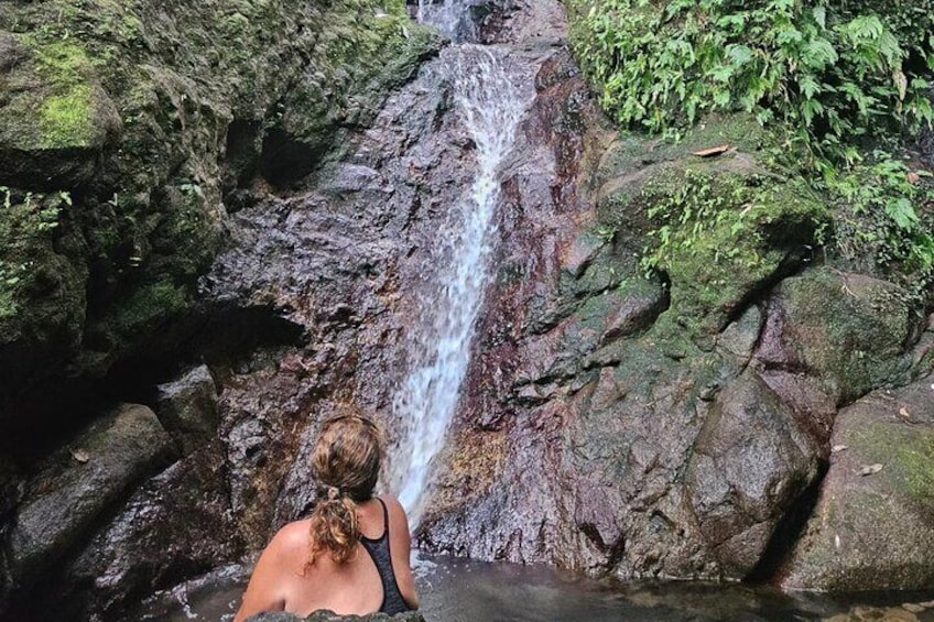 Rainforest Waterfall Hike with Rastafarian Nature Guide