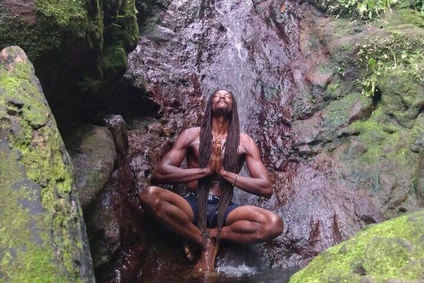 Rainforest Waterfall Hike with Rastafarian Nature Guide