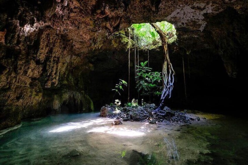 Cavern Cenote 