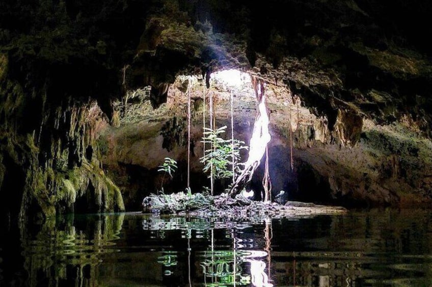 Cave Cenote