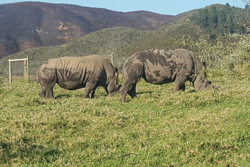 2 Days Garden Route Experience