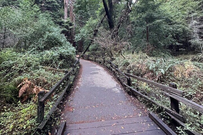 Muir Woods National Monument