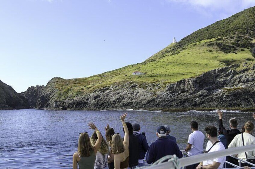 The Original Full day Bay of Islands Cruise with Dolphins 