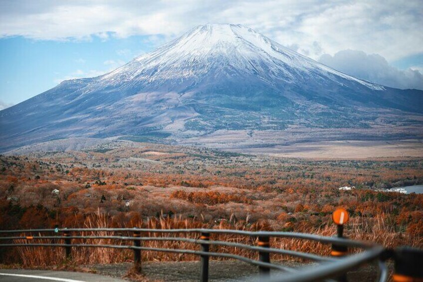 Private Guided Sightseeing Full Day Tour In Mt. Fuji And Hakone 